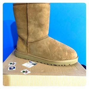 Brown UGGS
